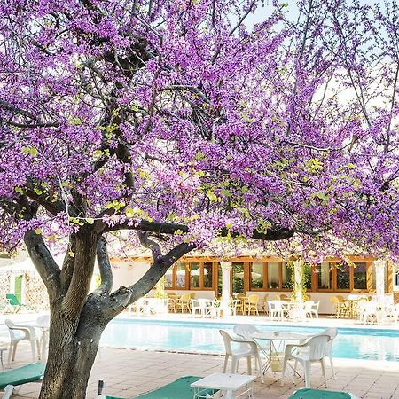 Hotel Gaya Peguera Exteriör bild